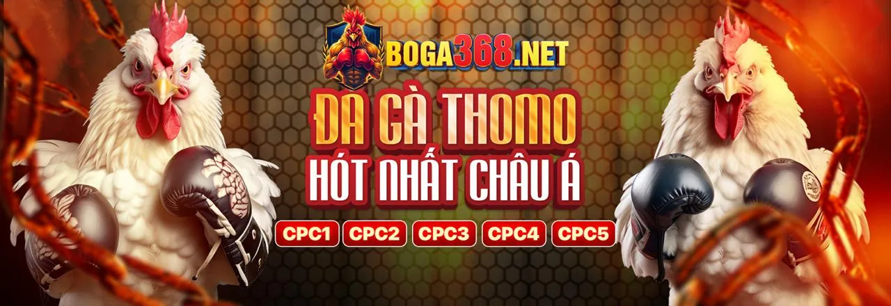 Đá Gà Trực Tuyến Man88 2026 - Trang Chủ Chính Thức